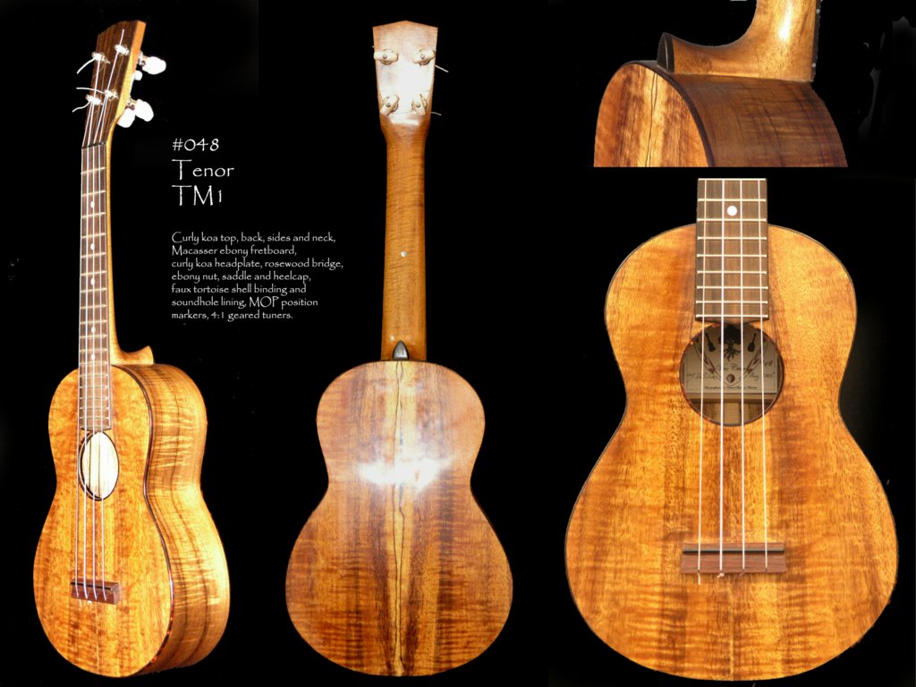 Copyright © 2012 Michael DaSilva